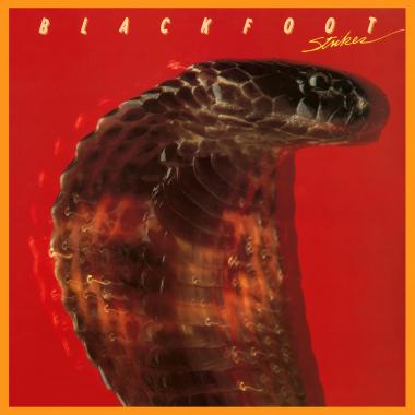 Blackfoot -  Strikes